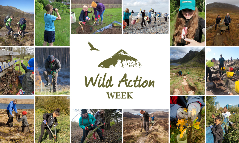 Wild Action Week promo