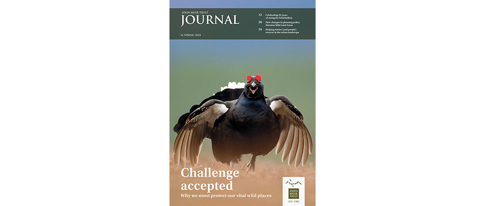 Journal 76 Spring 2024 cover image sm