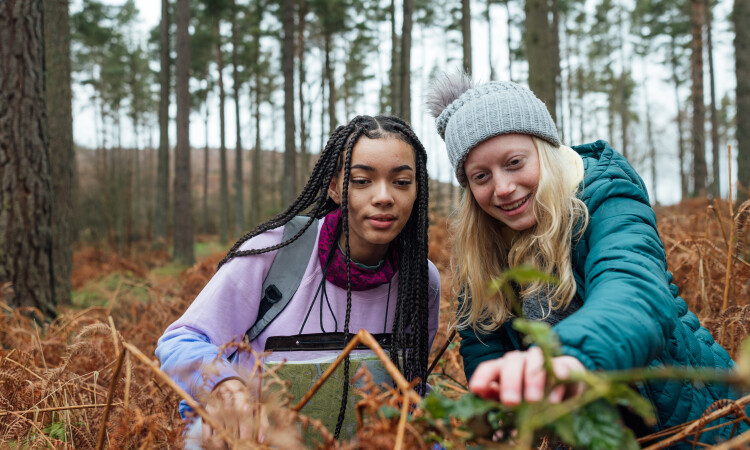 Students on a nature walk