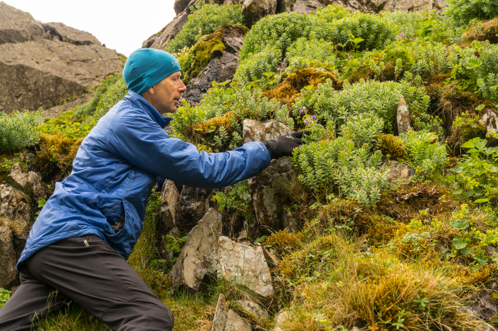 Glenridding_Lintern_Web_2018-3 2