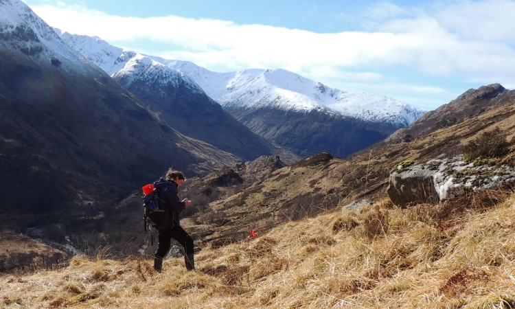 Mapping Scots Pine at Nevis