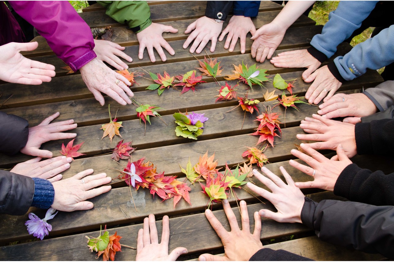 John Muir Award - Hands