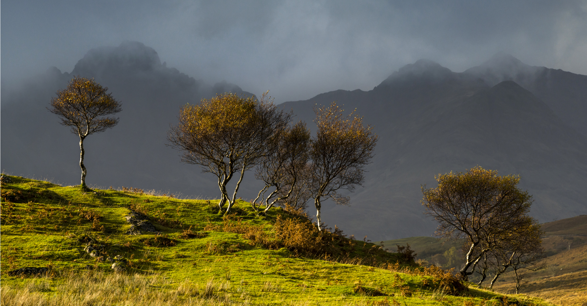 Bla Bheinn Trees - Chris Rutter