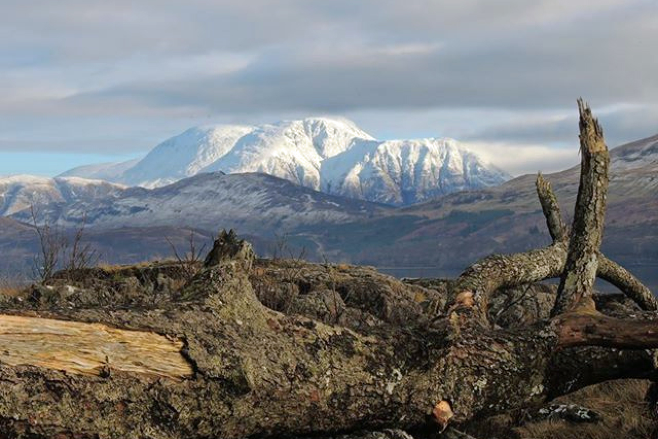 Ben Nevis 2 - Fran Lockhart