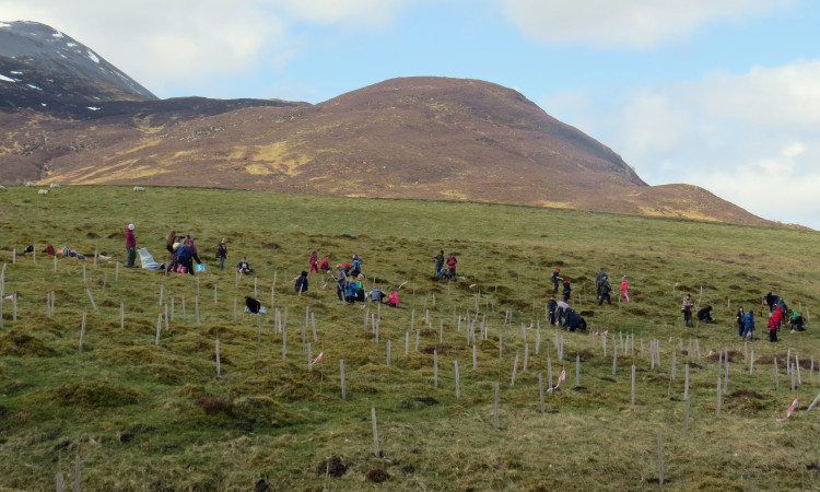 Tree Planting at Schiehallion