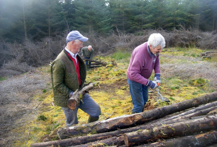 Conservation work party Glenlude