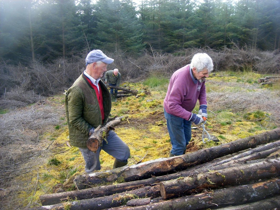 Conservation work party Glenlude