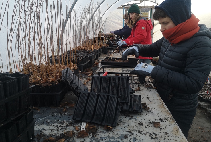 Isaac and Sarah packing trees (photo Nathan Berrie)