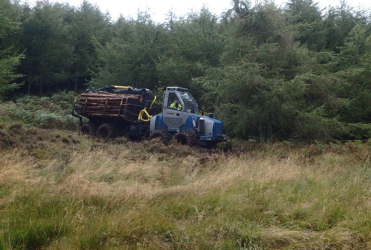 Extracting timber - Glenlude