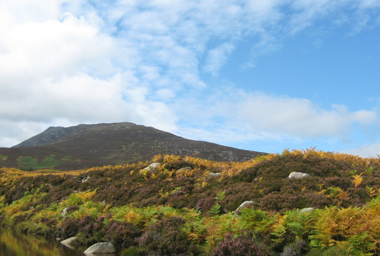 Schiehallion - Liz Auty 