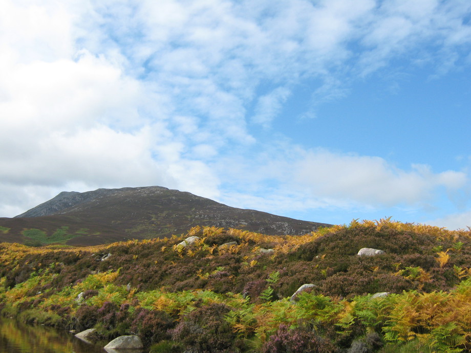 Wild Words Reading the Land