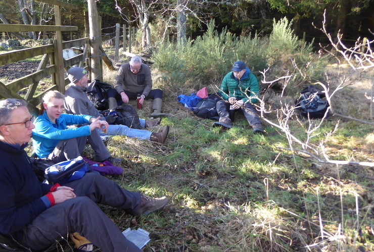 Member's group