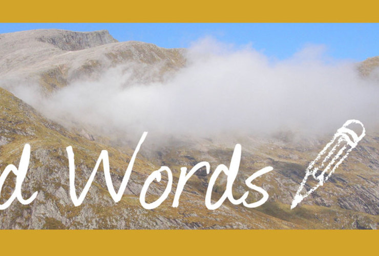 Wild Words