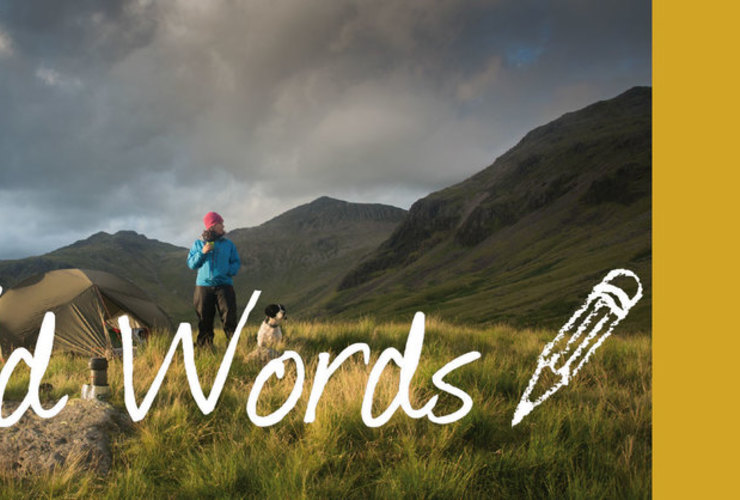 Wild Words at Keswick