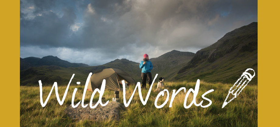 Wild Words at Keswick
