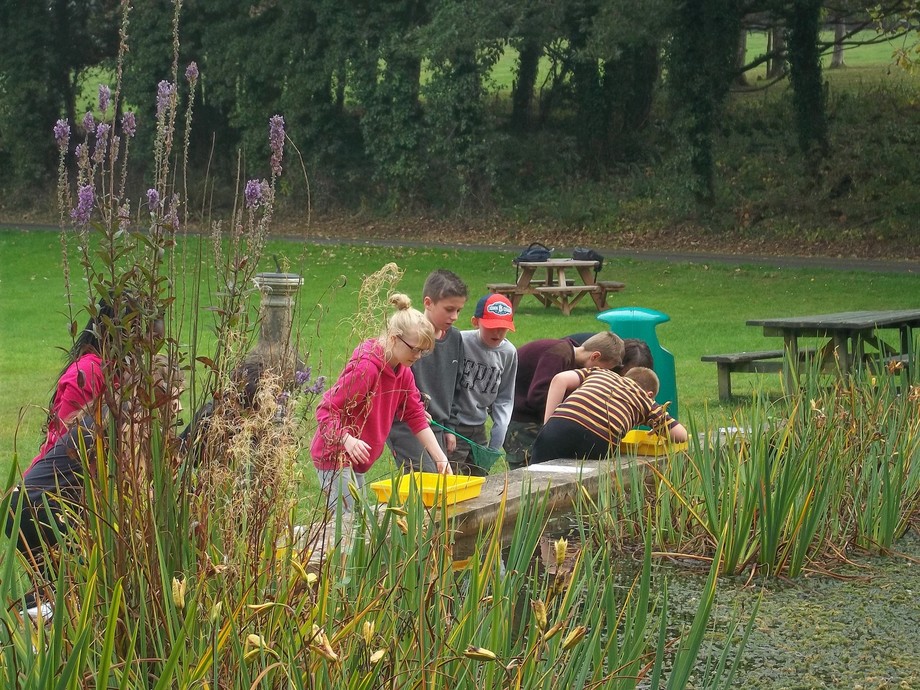 FSC Scotland - STEM by Nature