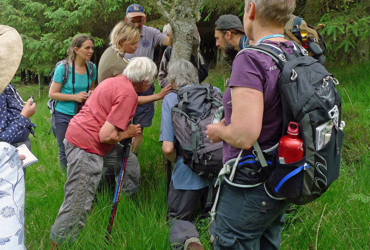 Verity - Lichen workshop