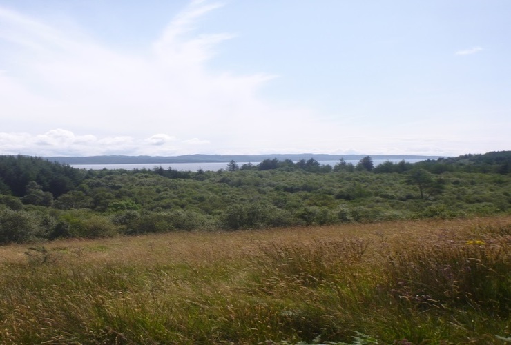Ringill West 