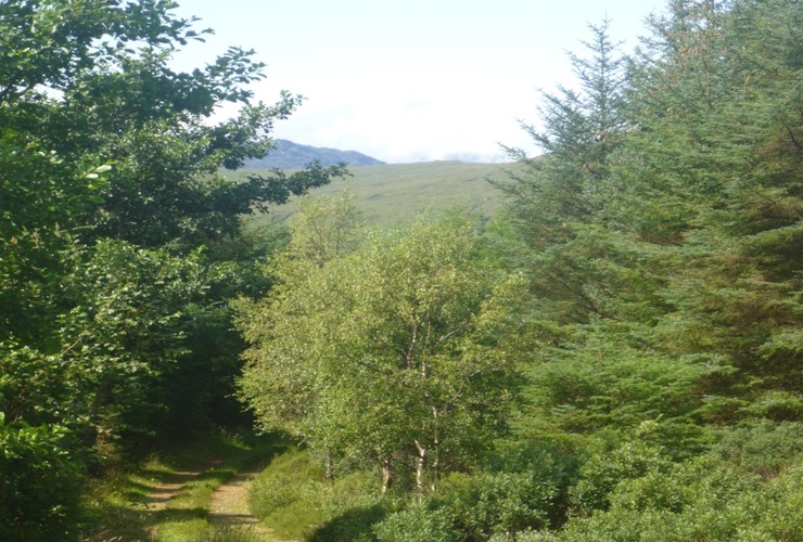 Ringhill West 