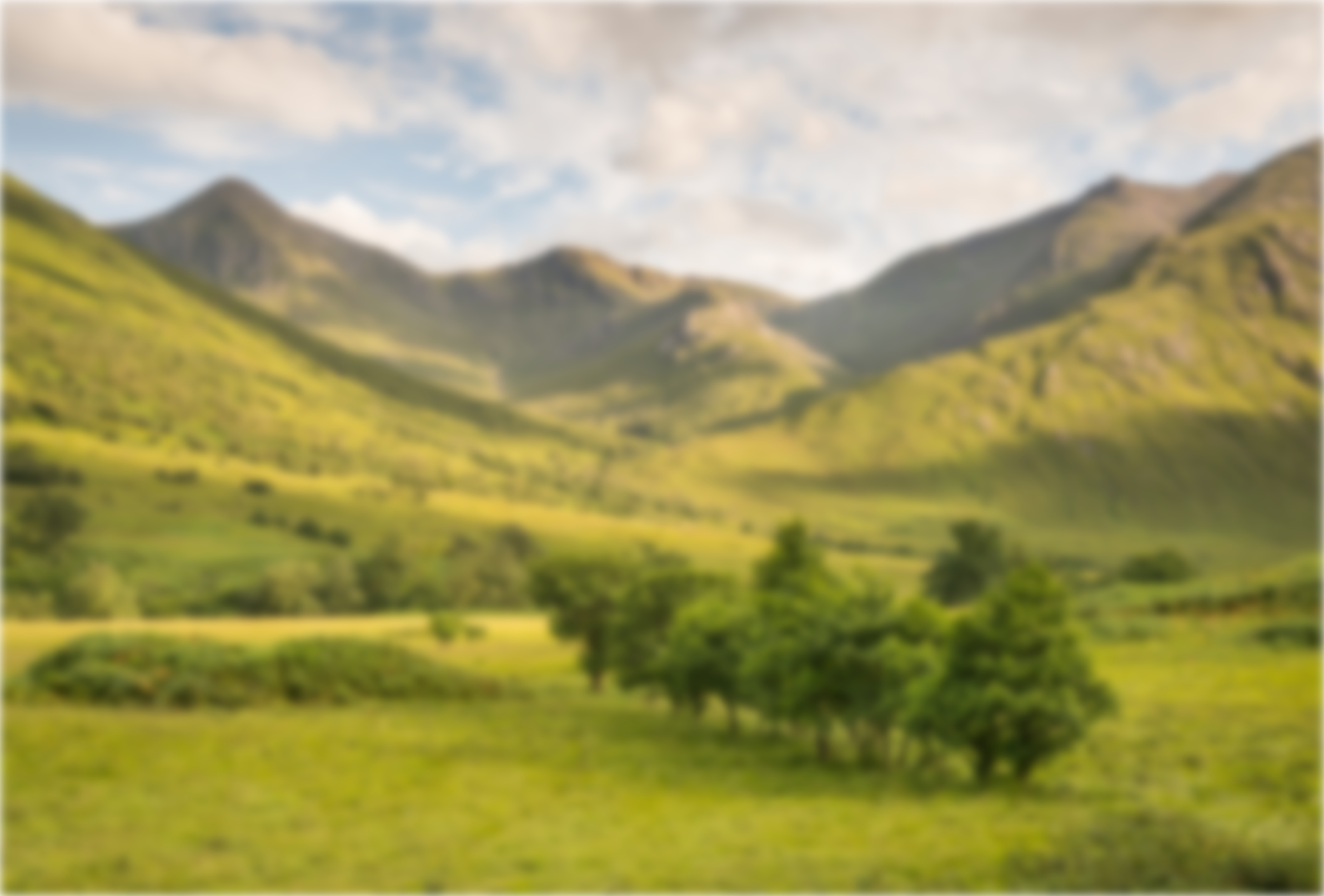 Etive Lintern 