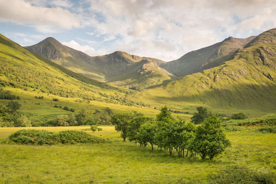 Etive Lintern 