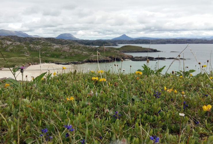 Carrie Weager machair