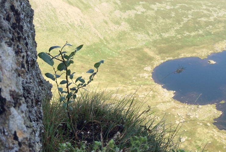 Graham Watson Red Tarn 