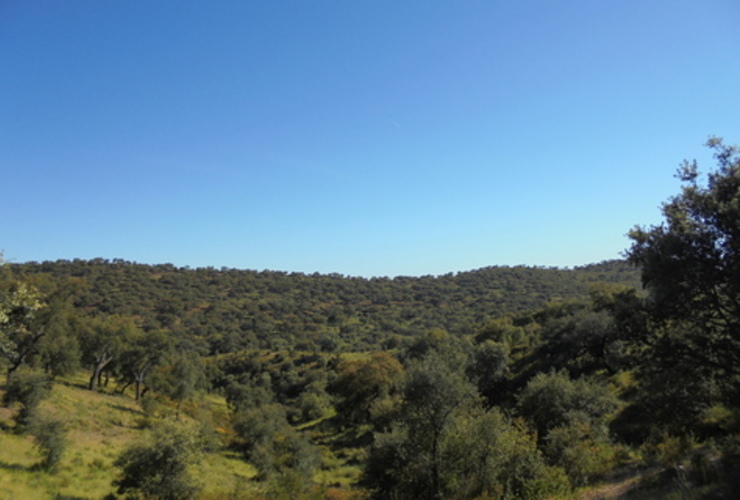 Andalucia