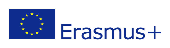Erasmus flag