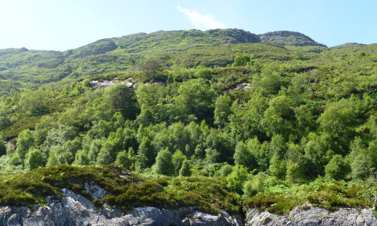 Knoydart - Stephen Ballard