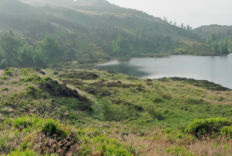 Wild swimming in Highland Perthshire