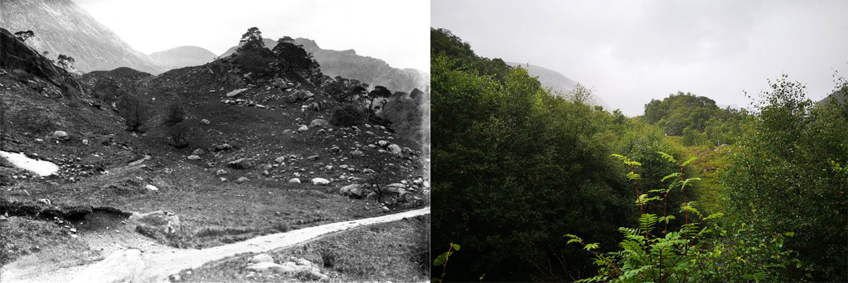 Glen Nevis - then and now