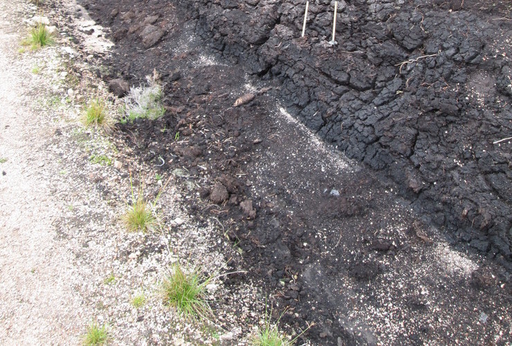 Peat damage