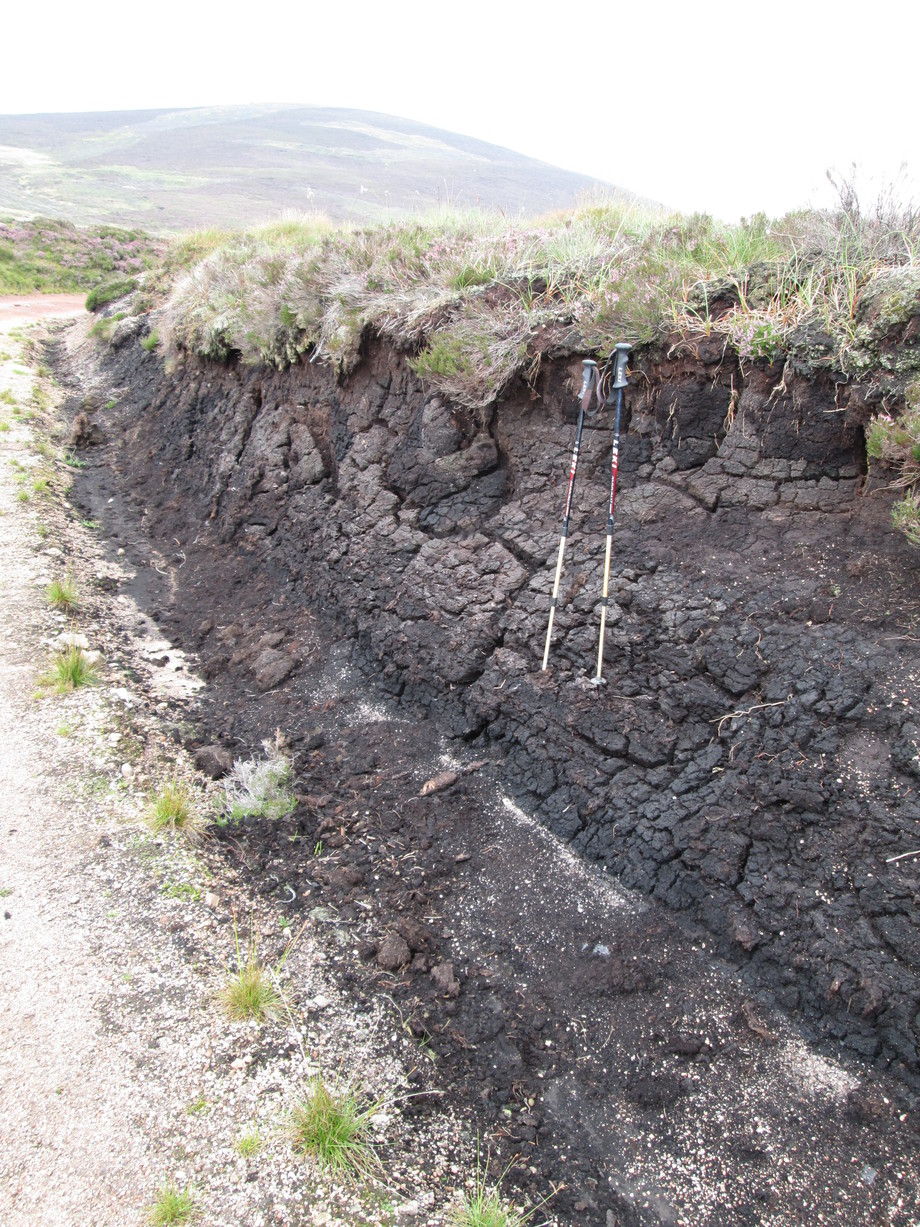 Peat damage