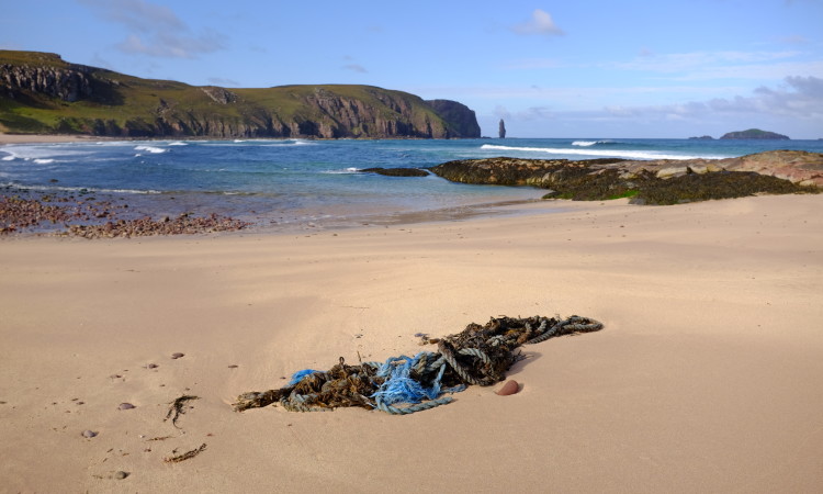 Sandwood Litter - Kevin Lelland