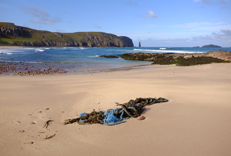 Sandwood Litter - Kevin Lelland