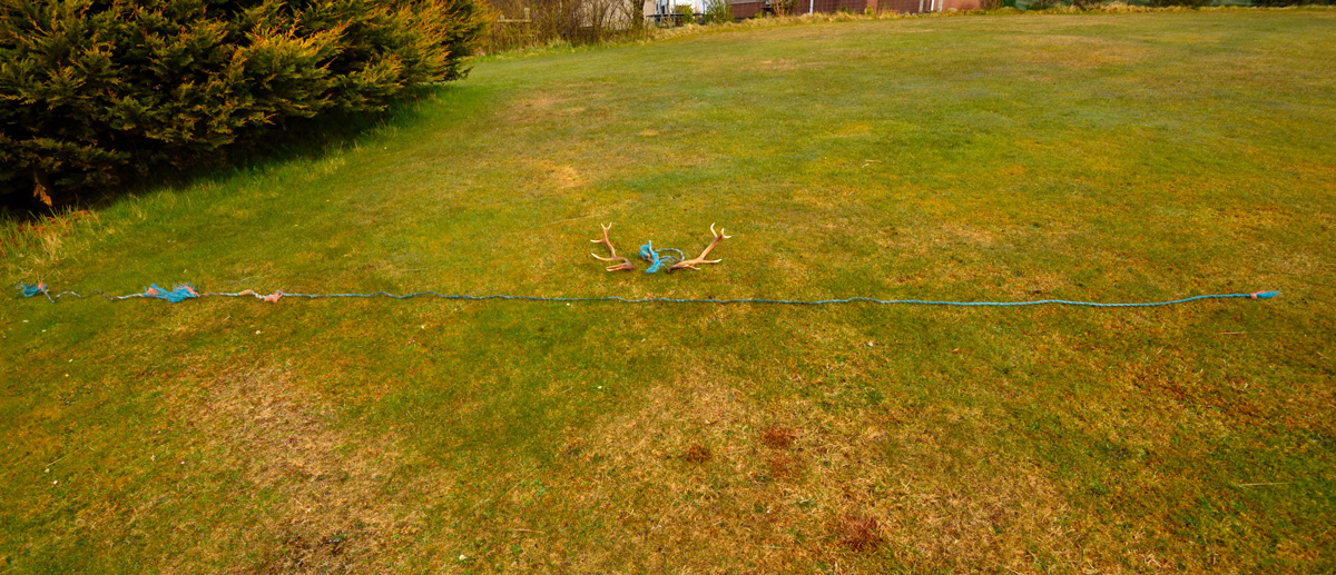 Morris Macleod Blue Rope Stag 5 