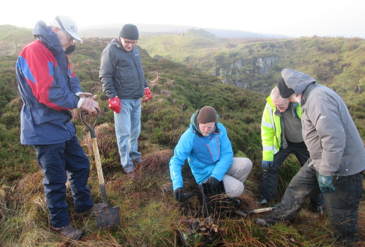 Yearn Stane - Tree planting Joe Greenless