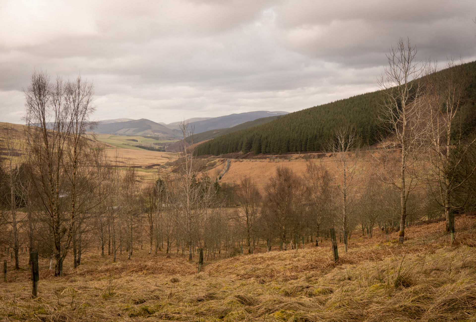 Glenlude Autumn Winter - David Lintern