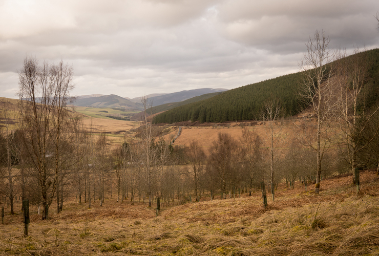 Glenlude Autumn Winter - David Lintern