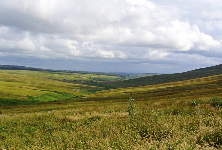 Langholm Moor - Tom Hutton