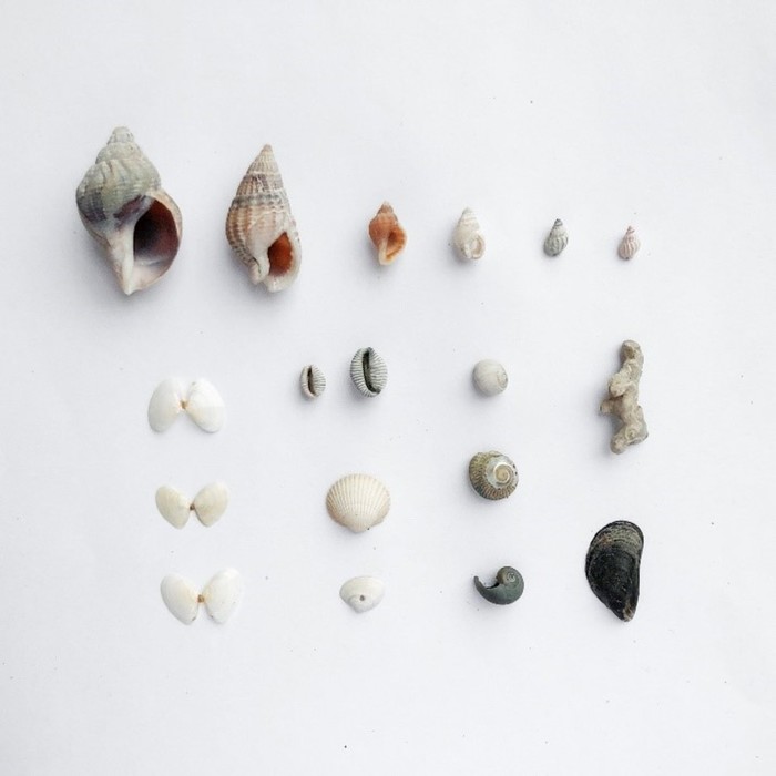 The beach today - Christina Riley