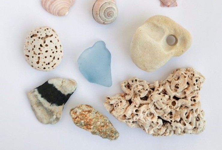 The beach today 2 - Christina Riley