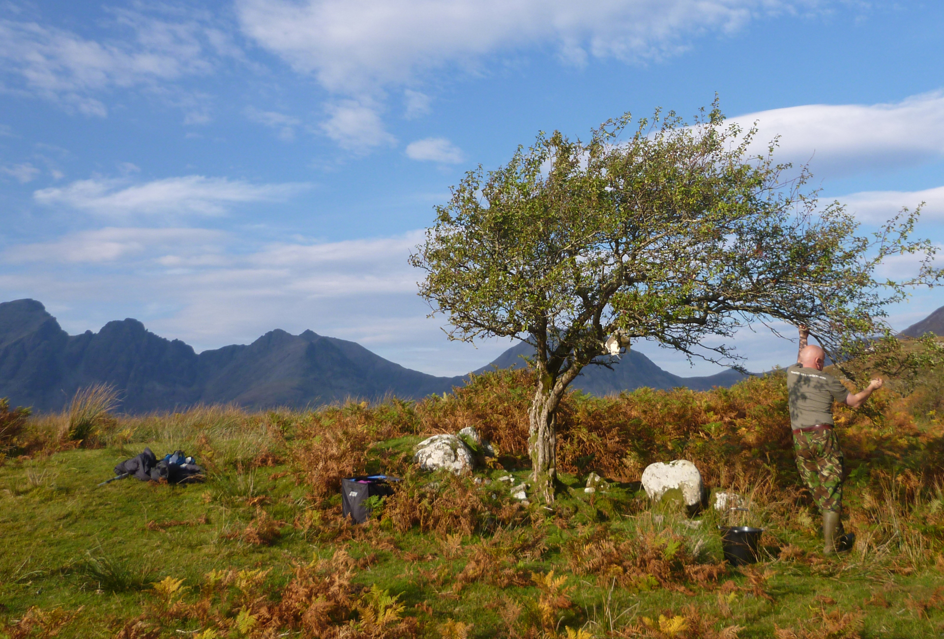 Ally collecting hawthorn seeds on Skye