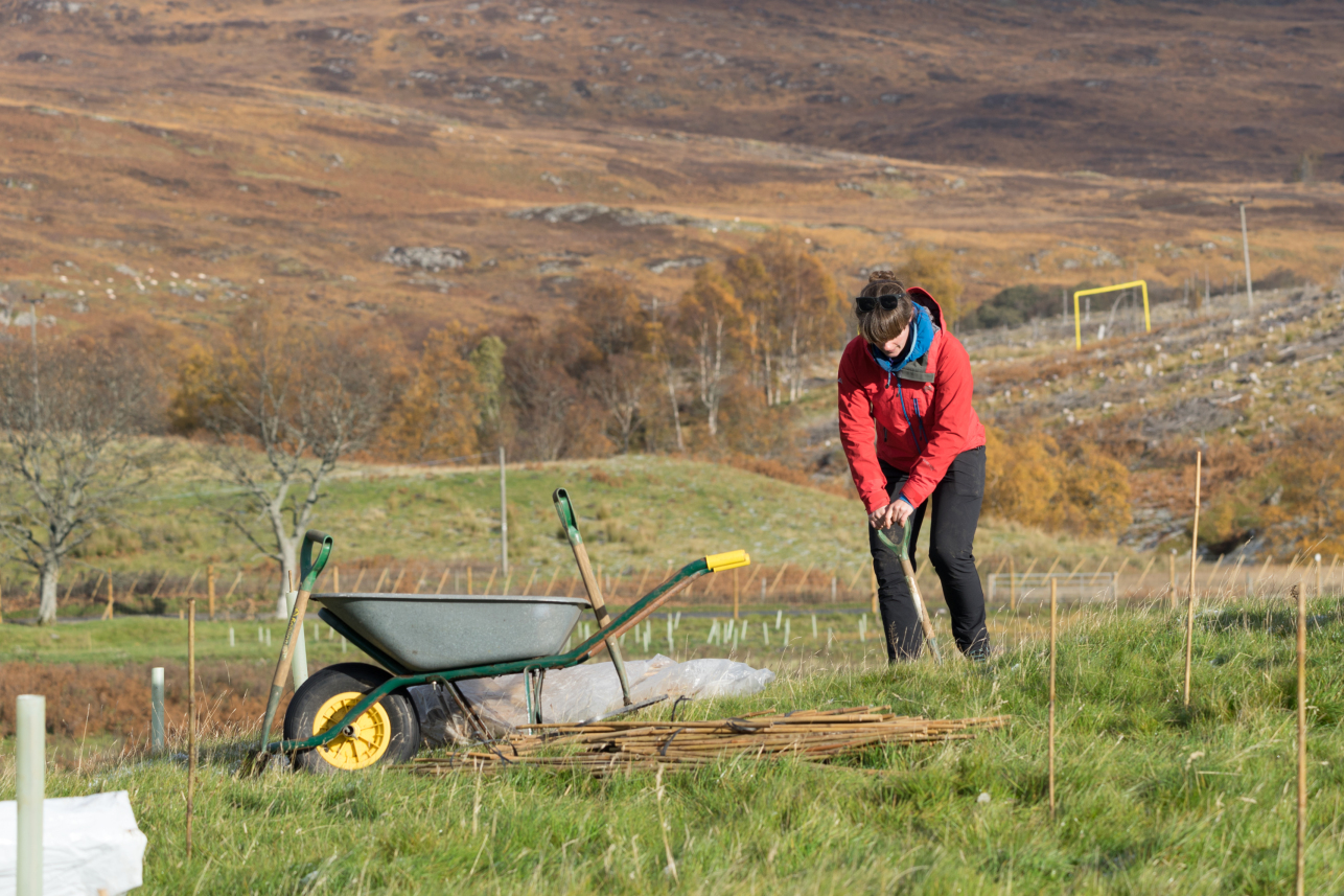 Izzy planting trees - Cat Burton