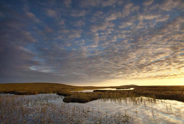 Peatlands - Scotland the Big Picture
