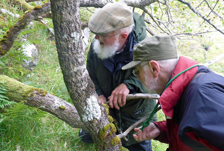 Quinag lichen experts