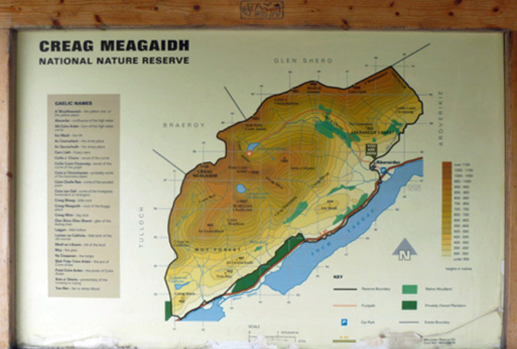 Creag_meagaidh board detail