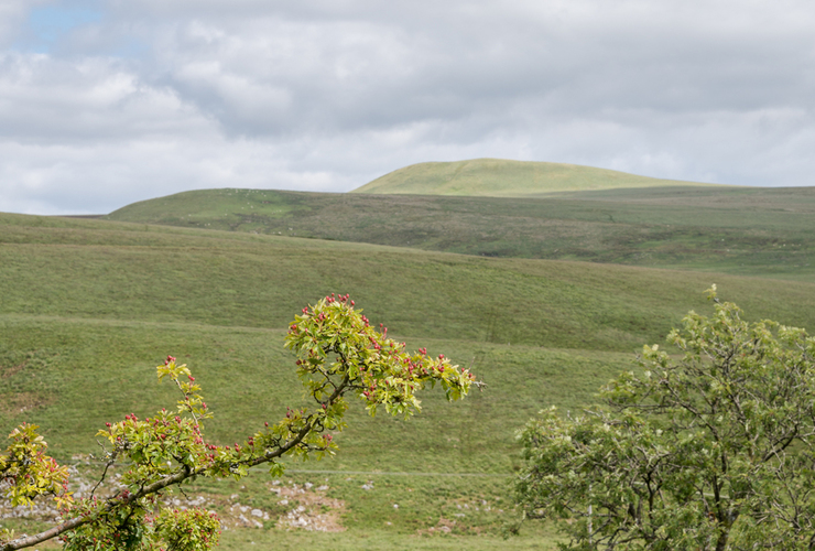 Langholm - Lintern
