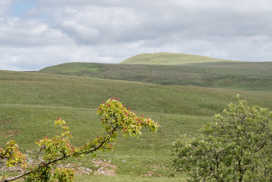 Langholm - Lintern